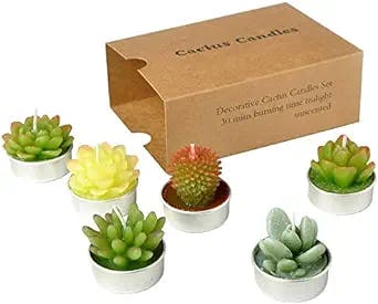 SSleng Cactus Tealight Candles, Handmade Delicate Succulent Cactus Candles（ Perfect for Birthday Party ,Wedding, Spa, Home Decor)