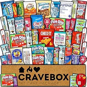 "Snack Attack: CRAVEBOX Snacks Variety Pack Care Package Review"