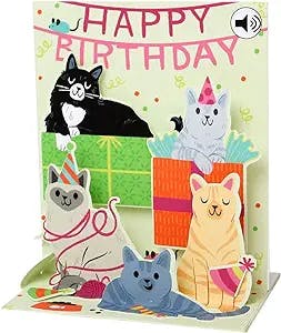 Up With Paper Pop-Up Sight 'N Sound Greeting Card - Feline Birthday, green, black, grey, orange, white