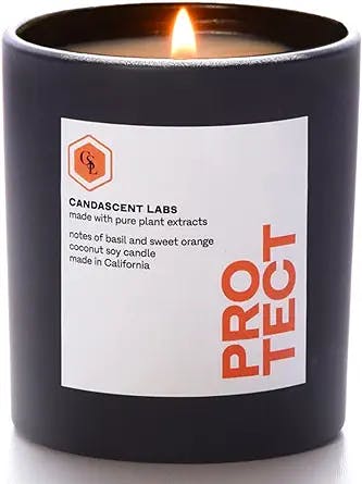 Organic Basil & Sweet Orange Protect CandaScent Labs Wellness Candle: Anti-inflammatory, Antioxidant, Fortifying Properties in The 100% Botanical Ingredients, Luxurious & Synthetic-Free