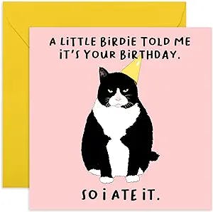 Hilarious Cat-Themed Birthday Card with Stickers - A Little Birdie Told Me 