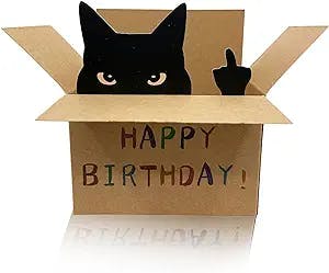 AMINORD Birthday Card - Cat Birthday Card for Men Women - Funny Happy birthday Card for Friends