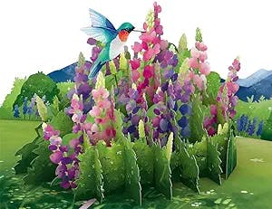 Lovepop Lupine Hummingbird Pop-Up Card - 5 X 7 – Greeting Cards For Her, Note Card and Envelope for All Occasion – Everyday Love Card, Mother's Day Card