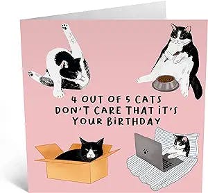 Purrfectly Hilarious Birthday Card: CENTRAL 23's '4 Out Of 5 Cats'
