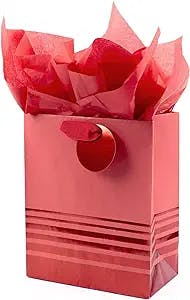 Hallmark Medium Valentine's Day Gift Bag with Tissue Paper (Red Foil Stripes)