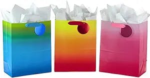 Hallmark Large Gift Bags Assortment with Tissue PaperOmbrã (Pack of 3 Gift Bags For Birthdays, Baby showers, Bridal Showers, Holidays)