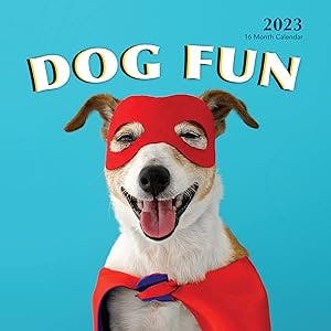 Dog Fun 2023 Hangable Wall Calendar Monthly - 12" x 24" Open - Cute Costume Dressed Up Playing Puppies Photo Gift - Sturdy Thick Puppy Dogs Photography - Gifting Idea for Secret Santa, Teacher, Adults, Friends, Kids & Coworkers - Large Full Page 16 Months for Organizing & Planning - Includes 2022