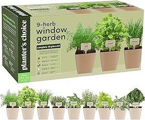 Herbs for Days: A Fun and Fresh Take on the Window Herb Garden