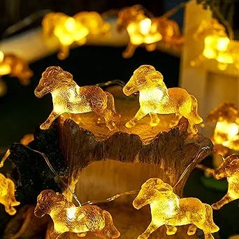 JASHIKA Unique Horse String Lights Gifts for Girl Cute Decorative Pony Lights Dual Color 8.5ft 20LED USB or Battery Operated for Indoor Bedroom Tent Birthday Holiday Christmas Décor