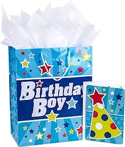 Hallmark Large Birthday Gift Bag with Tissue Paper and Card (Birthday Boy)