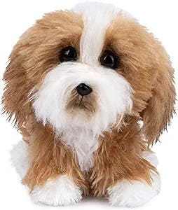 Boo, The World’s Cutest Dog, is a must-have for any dog lover out there, an