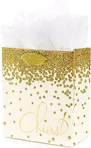 Hallmark Small Gift Bag with Tissue Paper (Gold Glitter Cheers)
