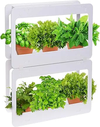 Indoor Herb Vegetable Plant Garden Kit, LED Grow Light Timer & Remote, Planter Grower Kitchen- Stocking Stuffer Unique Gift Holiday Christmas