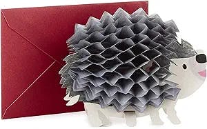 Hallmark Pop Up Birthday Greeting Card (Honeycomb Hedgehog) (599RZQ1002)