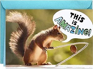 Hallmark Shoebox Funny Birthday Card for Men (Squirrel with Nutcracker)
